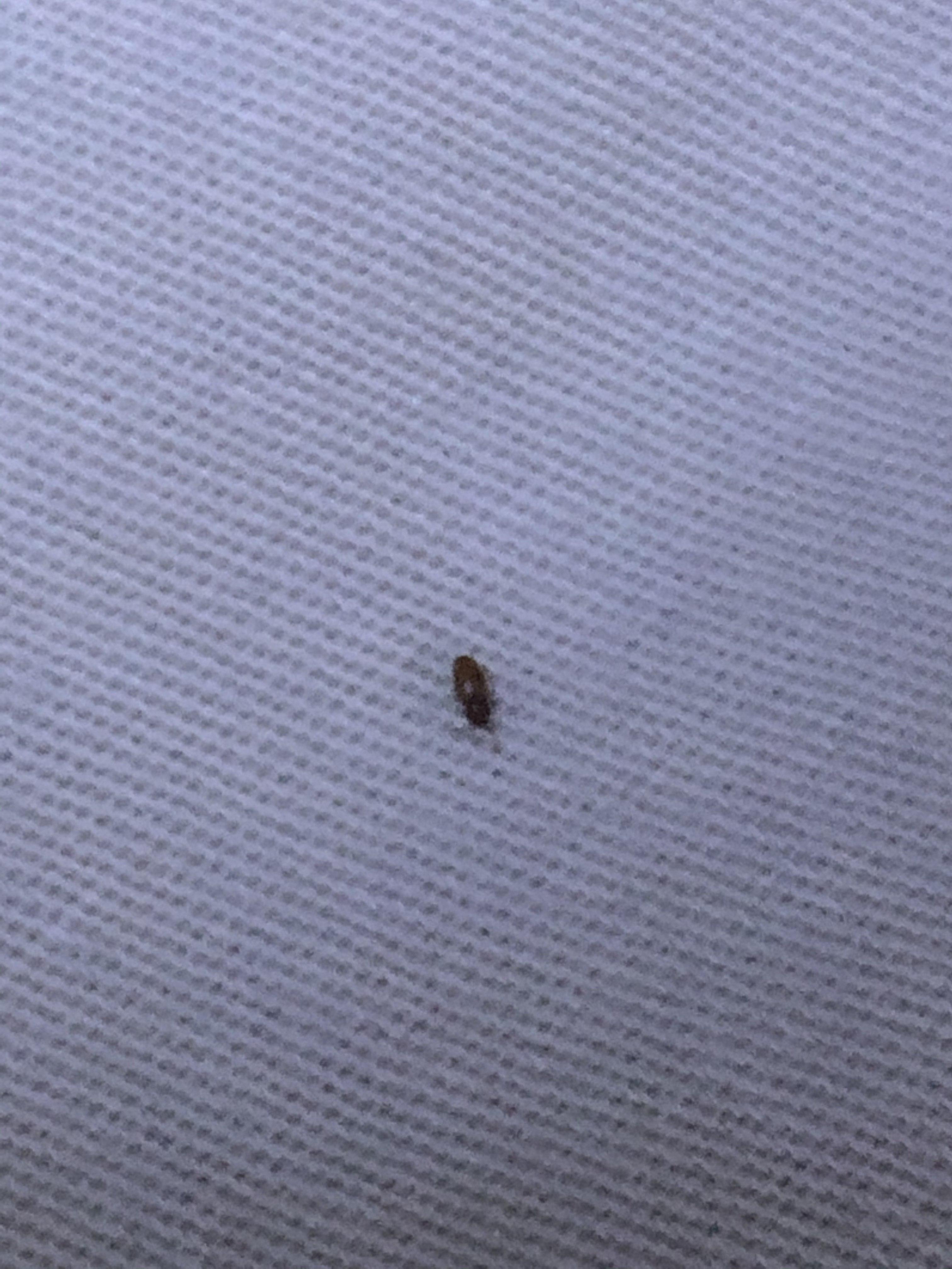 娱乐生活 第59页