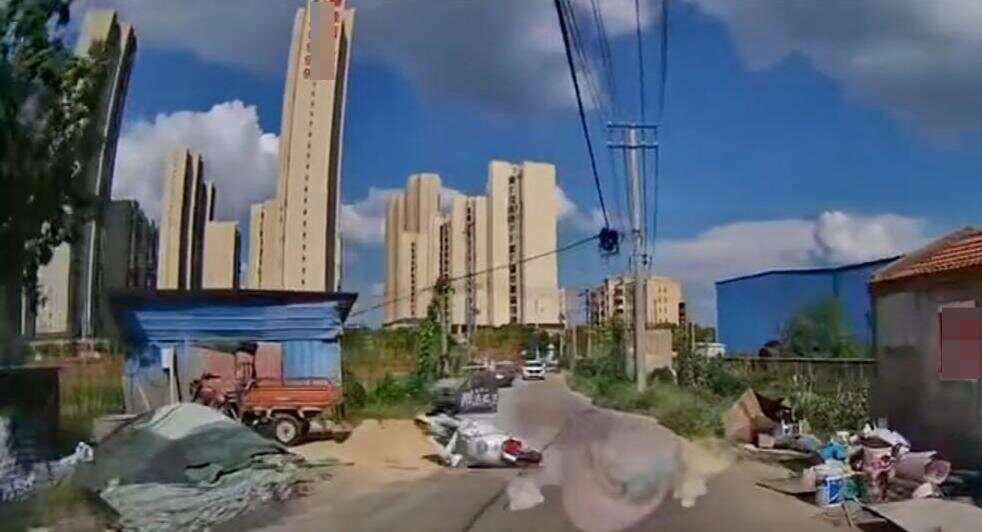 娱乐生活 第43页