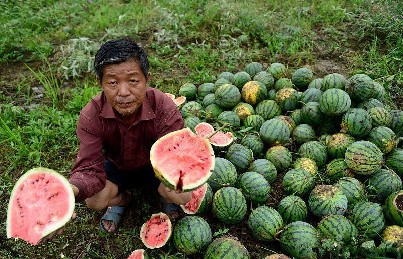 热点生活 第32页